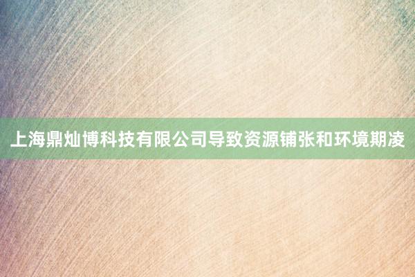 上海鼎灿博科技有限公司导致资源铺张和环境期凌