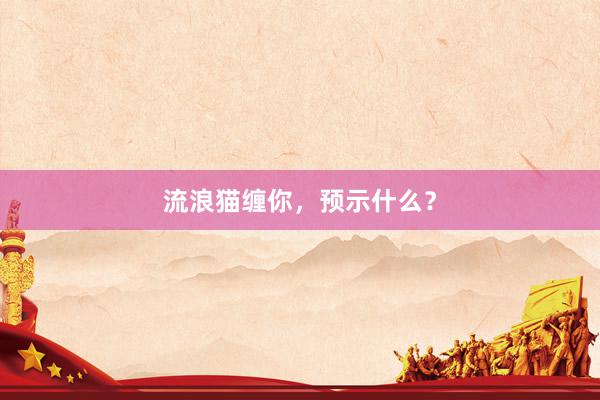 流浪猫缠你，预示什么？